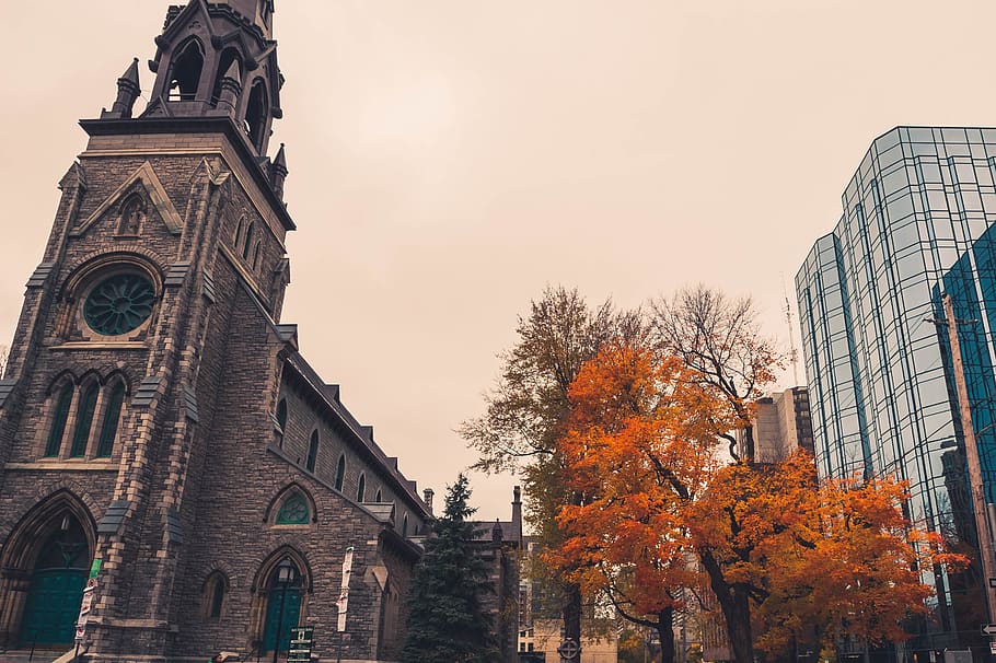canada, ottawa, architecture, fall, autumn, tree, urban, religious HD wallpaper