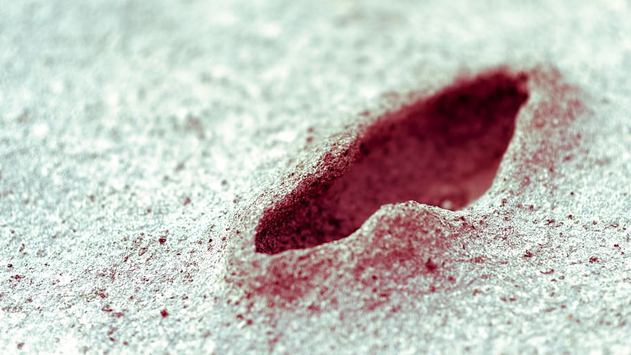 italy, catania, close-up, no people, love, selective focus HD wallpaper