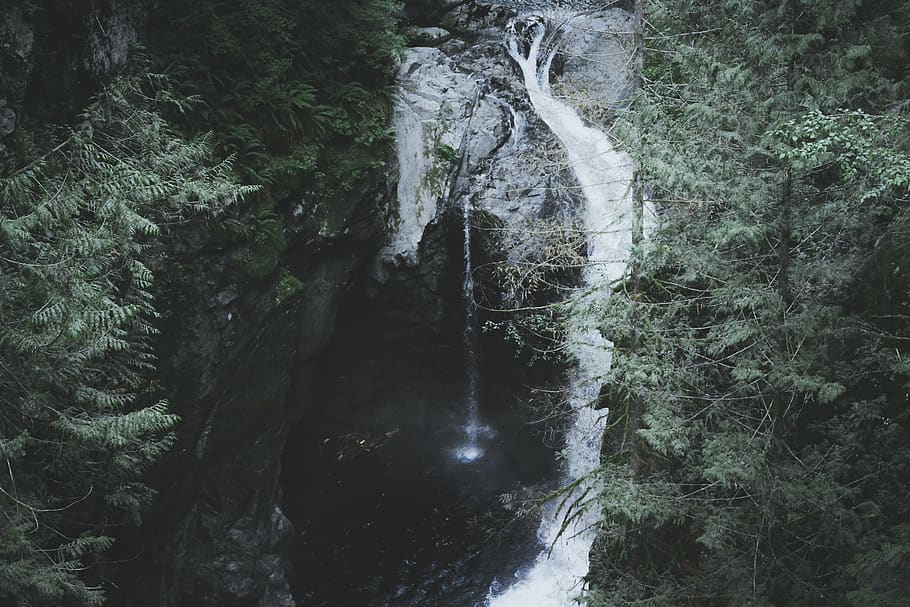 canada, vancouver, waterfall, tree, forest, plant, flowing water HD wallpaper