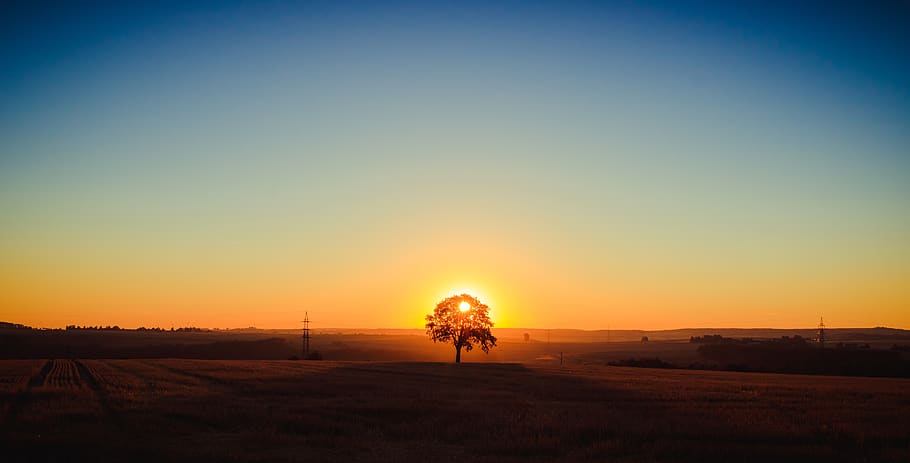 landscape, tree, sunrise, beautiful, nature, rest, still, light HD wallpaper