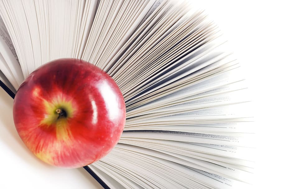 apple, book, closeup, dictionary, education, encyclopedia, exam HD wallpaper