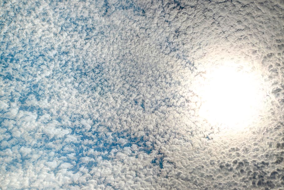 sun, sheep clouds, sky, blue, sunset, summer, cloud - sky, nature HD wallpaper