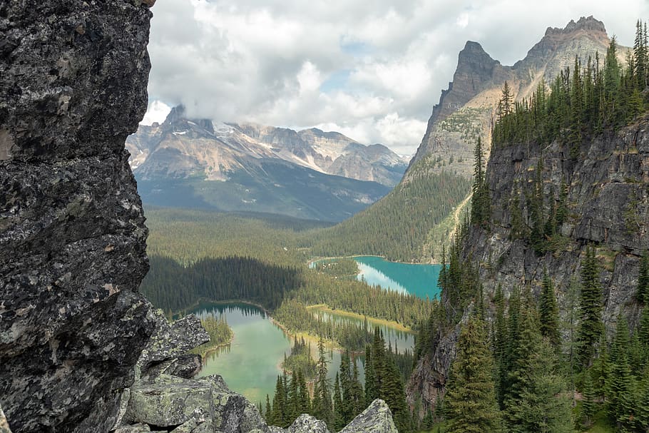 canada, mary lake, mountain, tree, boulder, cliff, beauty in nature HD wallpaper