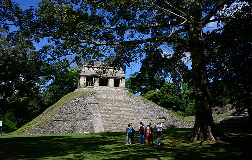 mexico, palenque, maya, pyramid, tree, plant, architecture HD wallpaper