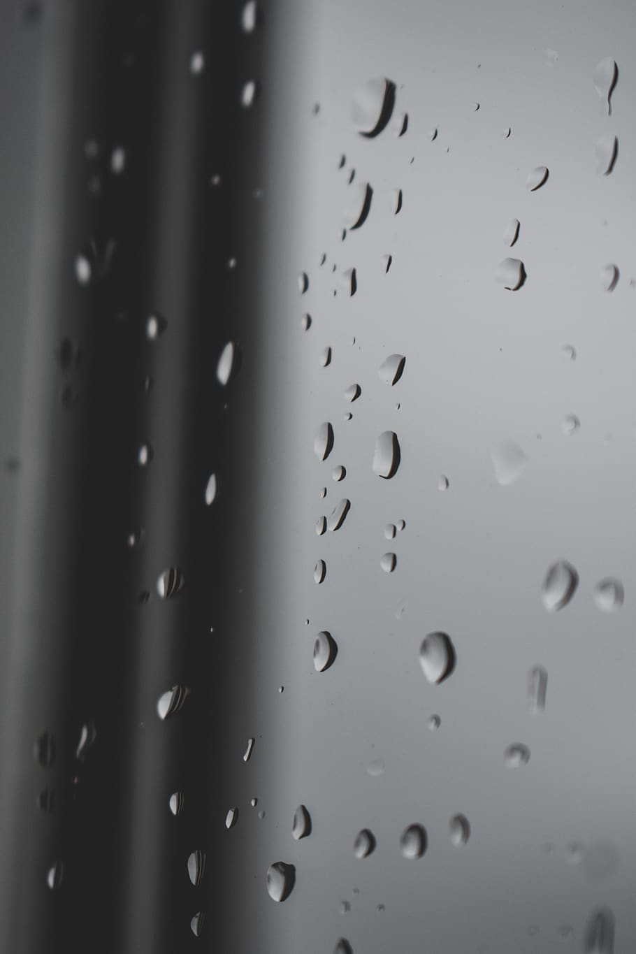 droplet, window, sky, bird, animal, rain, bubble, monitor, display HD wallpaper