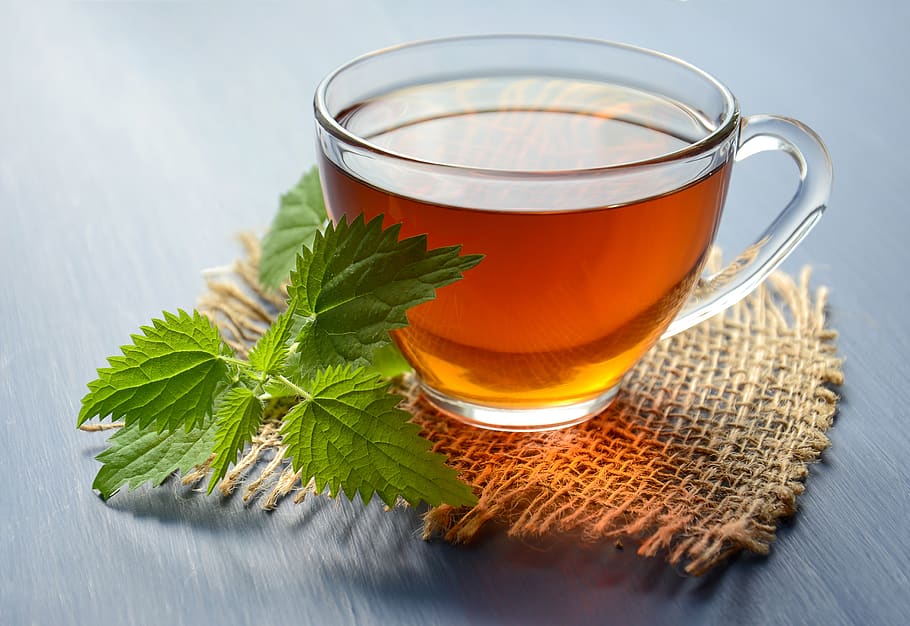tea, drink, herbal, nettle, hot, mug, cup, relax, glass cup HD wallpaper