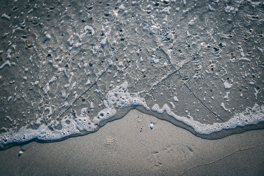 close-up photo of seashore, nature, landscape, denmark, autumn HD wallpaper