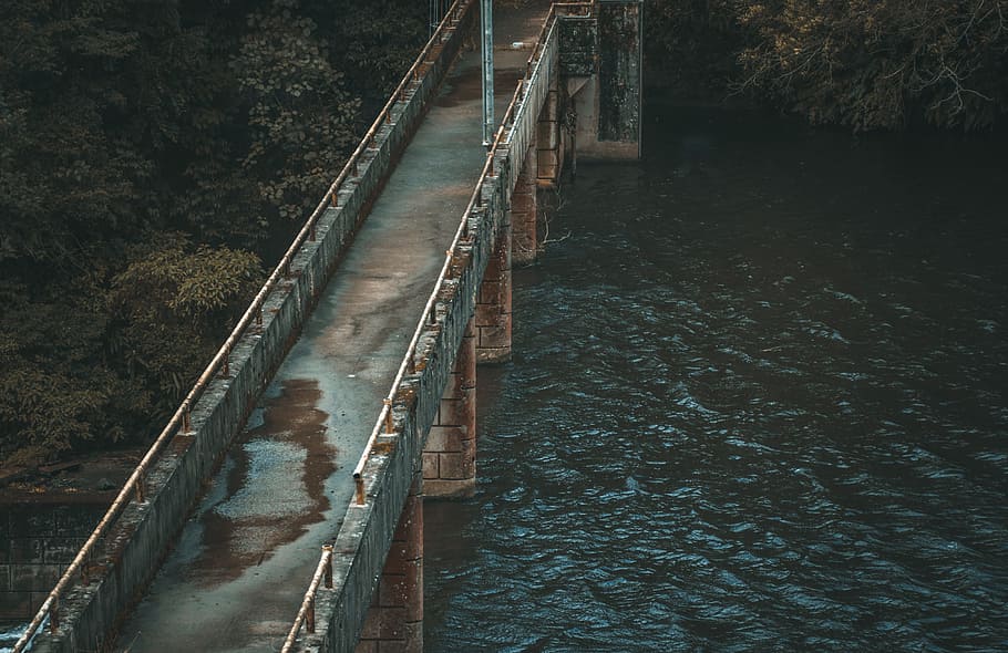 Concrete Bridge Near Trees, daylight, environment, landscape HD wallpaper
