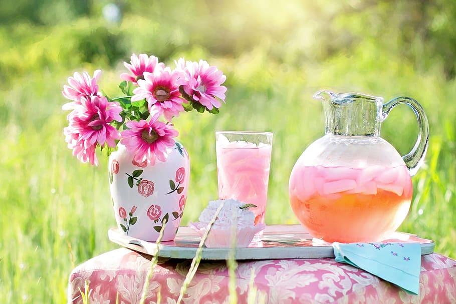 lemonade, pink, drink, fresh, nature, flower, blooming, pot HD wallpaper