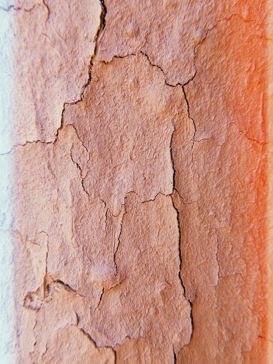 Brown Painted Wall, broken, crack, cracked, damage, surface, textured HD wallpaper