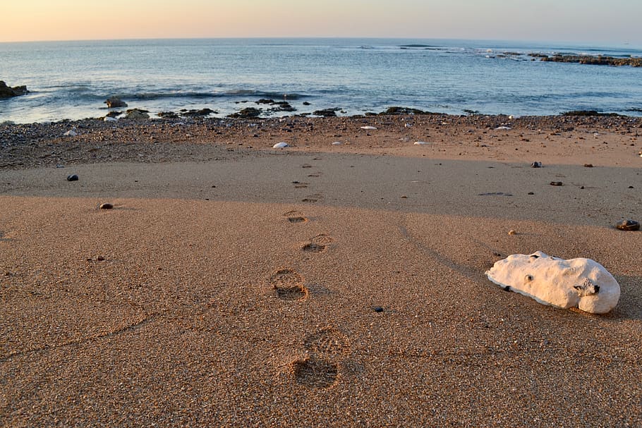 footprints, beach, sand, path, track, stones, walking, journey HD wallpaper