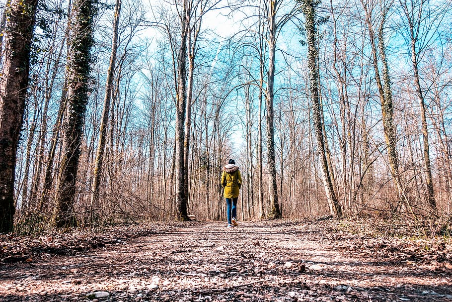 person walking, apparel, clothing, human, coat, outdoors, land HD wallpaper