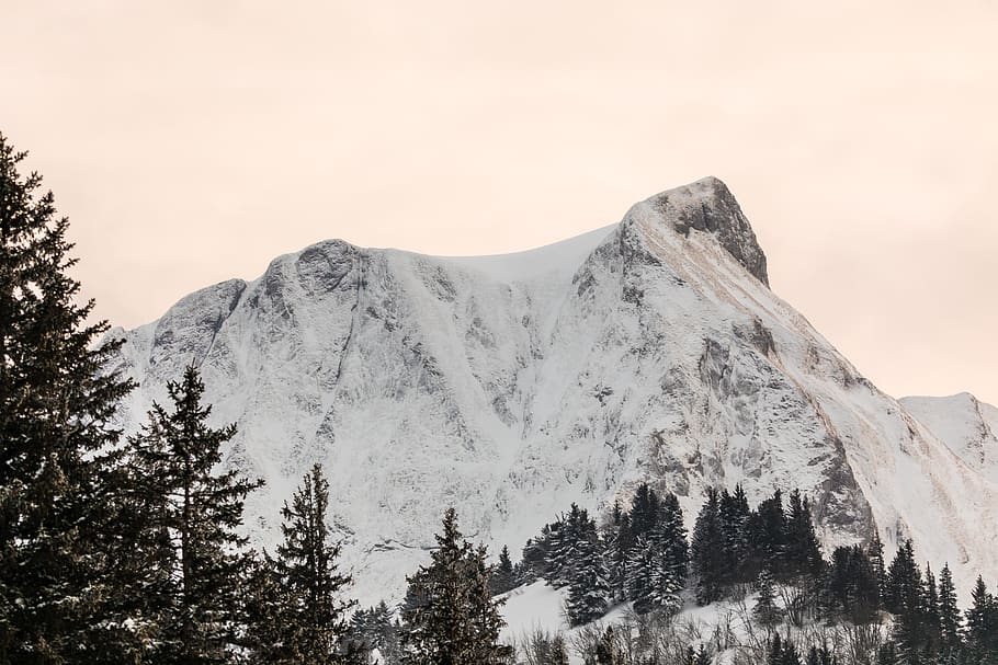 mountain, cold, snow, winter, snow-covered, wintry, eiskristalle HD wallpaper