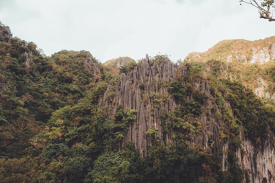 Photo of Gray Rock Formation With Trees at Daytime, hill, landscape HD wallpaper