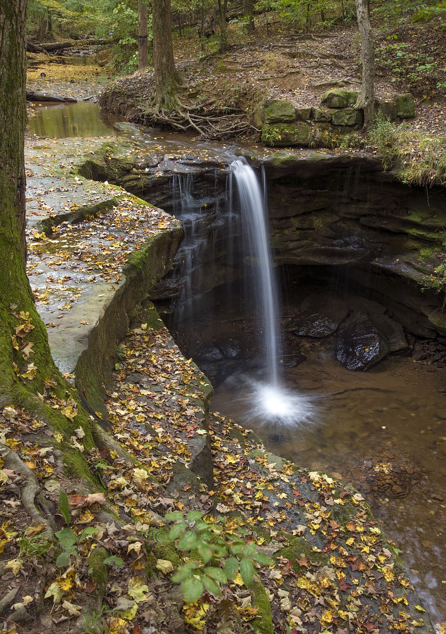 united states, dundee, water, tree, scenics - nature, flowing water HD wallpaper