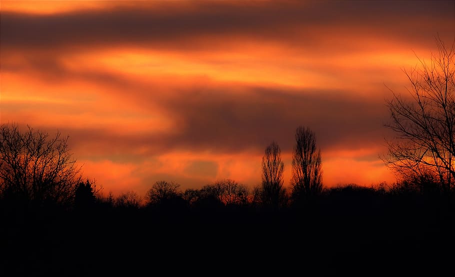 landscape, sunset, red sky, trees, cloud - sky, silhouette HD wallpaper