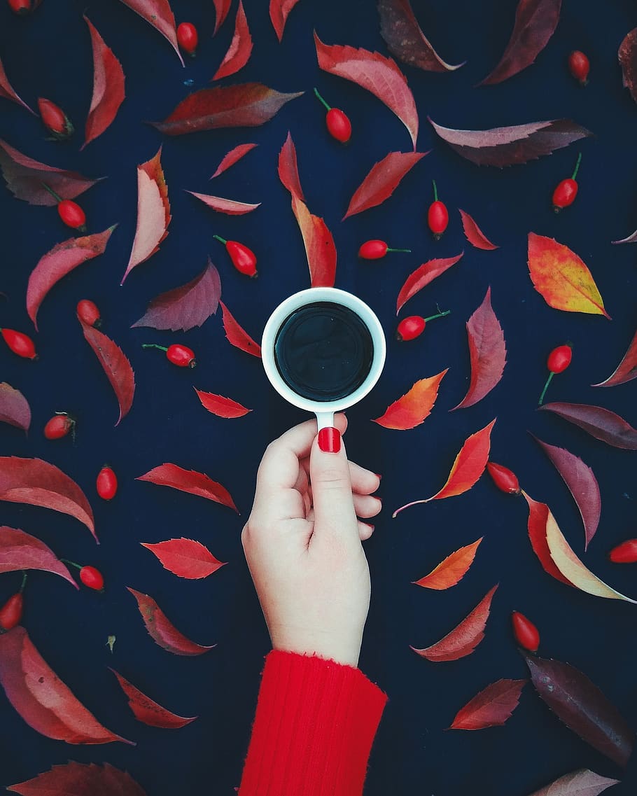 autumn, leaves, coffee, mood, red, wallpaper for girls, human hand HD wallpaper