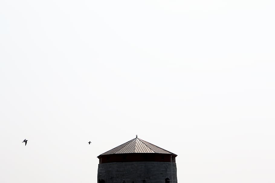 sky, bird, animal, construction, building, architecture, copy space HD wallpaper