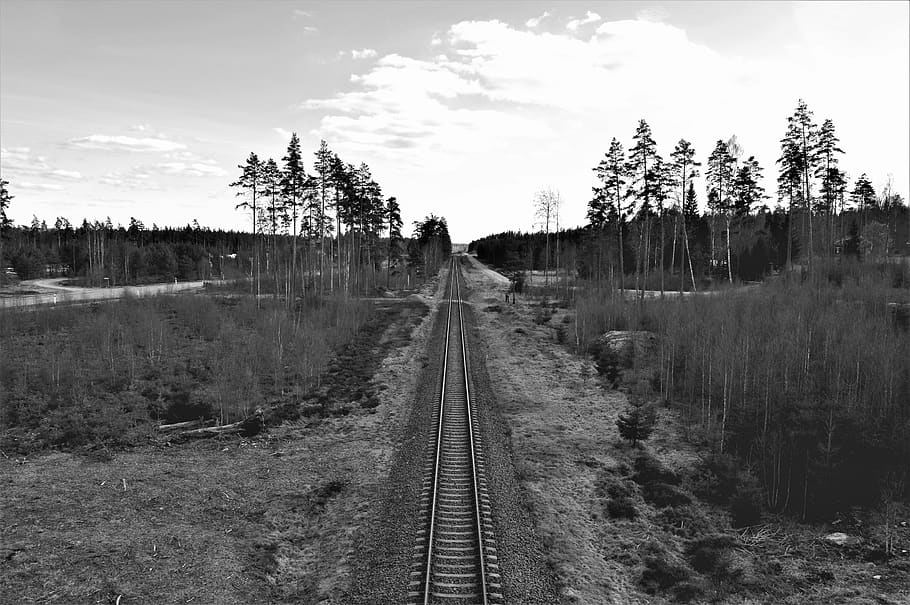sweden, trees, forest, nature, landscape, day, track, outside HD wallpaper