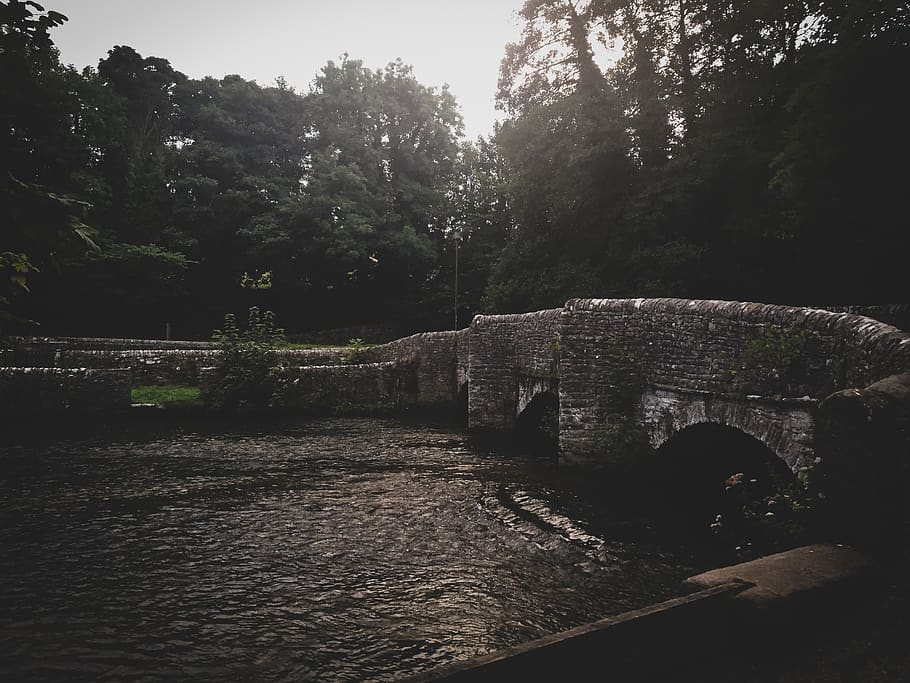 Stone Bridge Near Trees , architecture, england, water, plant HD wallpaper