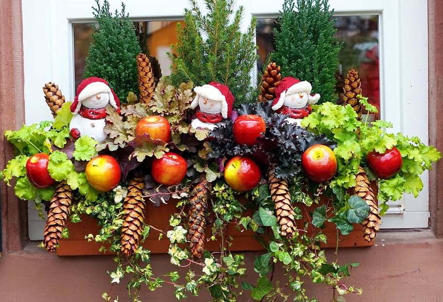 christmas decorations, window, advent, celebration, holiday HD wallpaper