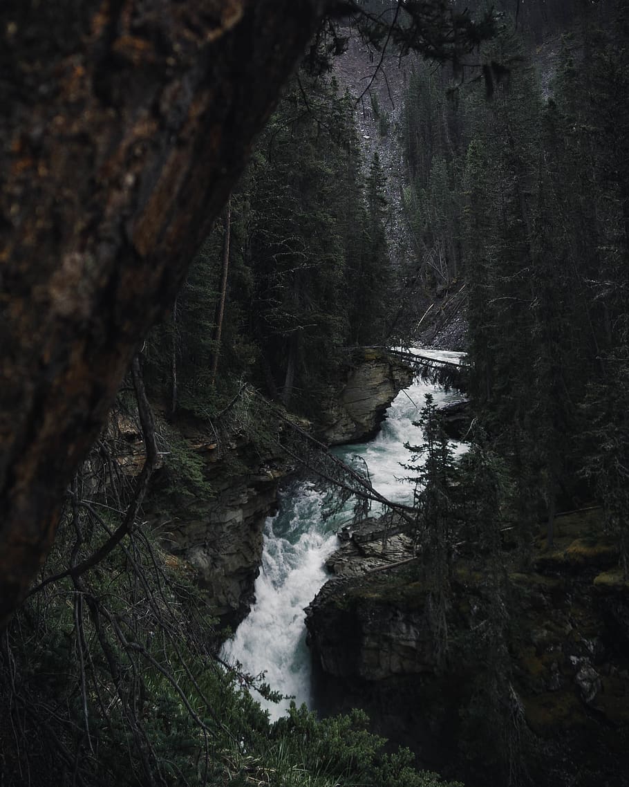 Time-lapse Photography of Waterfalls Surrounded by Trees, daylight HD wallpaper
