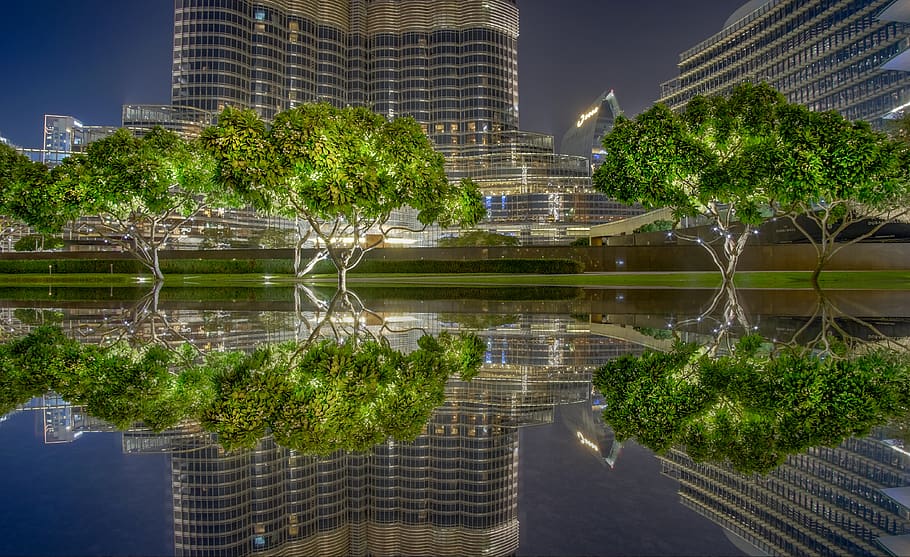 green trees near body of water during nighttime, housing, building