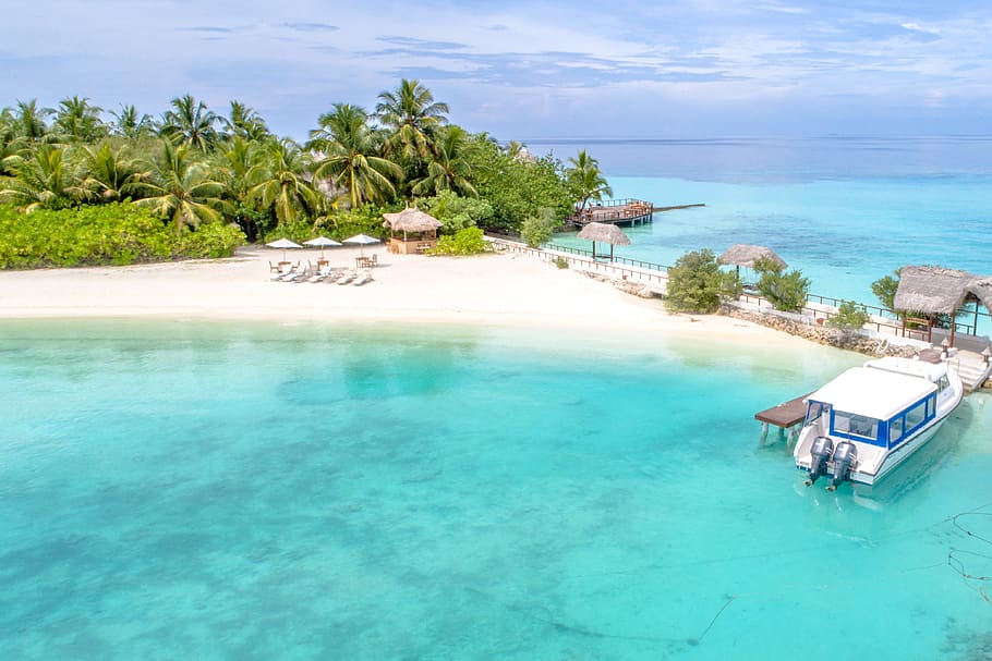 Beige Beach With Huts and Loungers Beside Teal Calm Body of Ocean at Daytime HD wallpaper