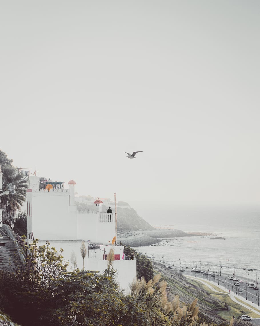 Bird Flying Above the House, beach, clouds, cloudy, cold, daylight HD wallpaper