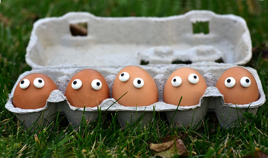 egg, egg box, egg carton, eggs heads, funny, sweating, society, HD wallpaper