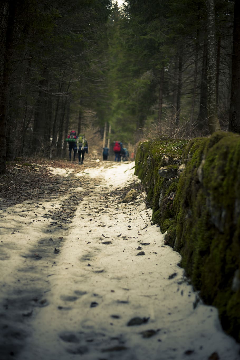 Weather walking. Дорога зимой тропа. Грязная зимняя тропинка. Широкая тропинка зимой ночью. Снежная местность.