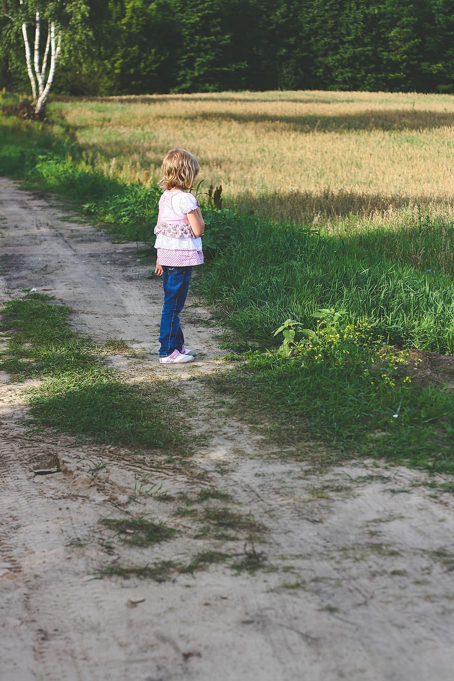 Little girl on path, blond, boy, bypath, child, cropland, cute HD wallpaper