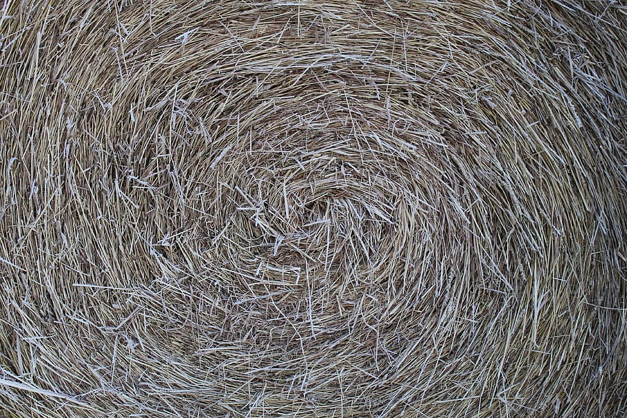 round bale, nature, outdoors, straw, hay, countryside, field HD wallpaper