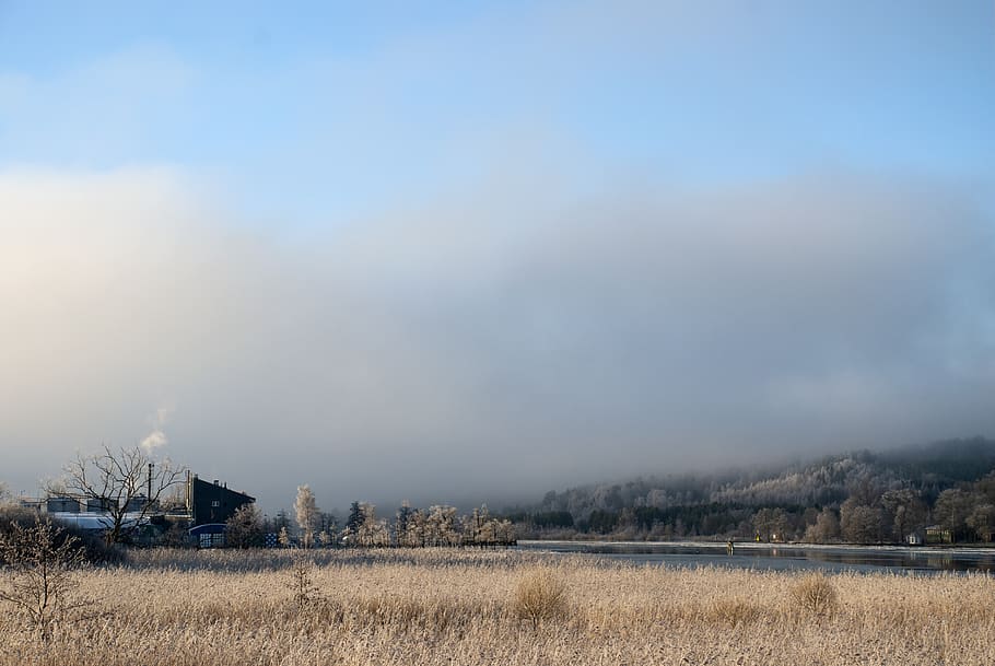 factory, reed, winter, river, nature, himmel, frost, sky, environment HD wallpaper