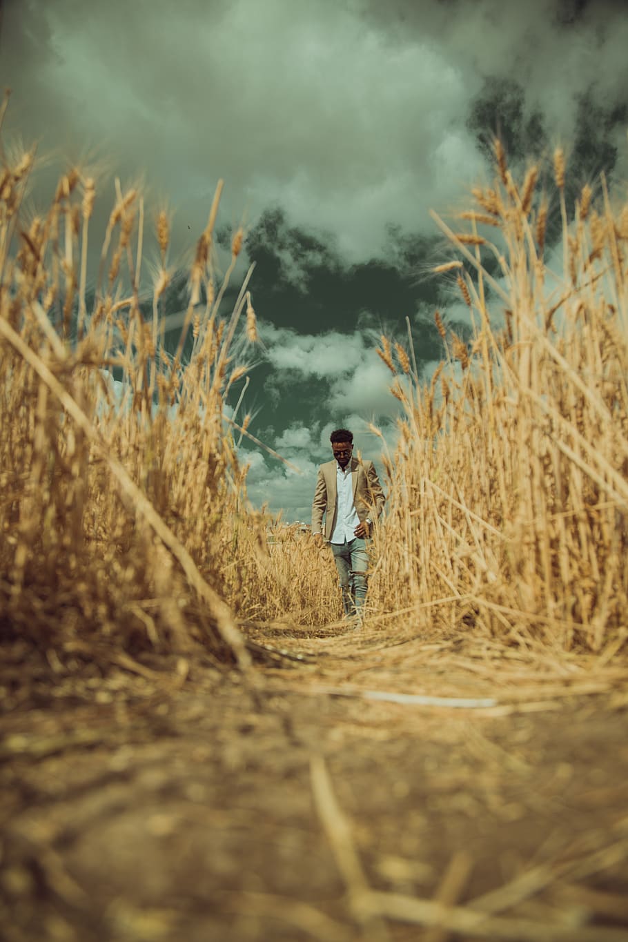 man walking between brown grass, two people, real people, plant HD wallpaper