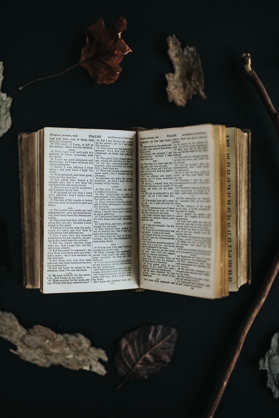 opened bible page on brown surface, book, publication, indoors HD wallpaper