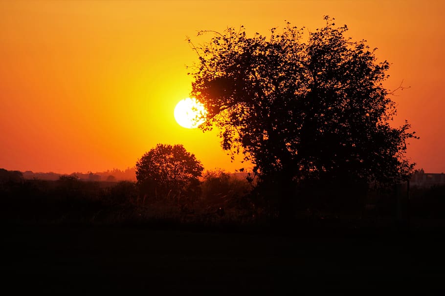 sunset, trees, silhouette, evening, scenery, mood, orange, heaven HD wallpaper
