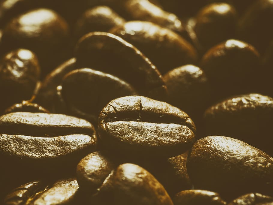 coffee beans, java, brown, warm, full frame, food and drink HD wallpaper