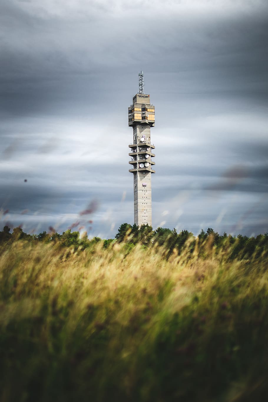 grass field and lighthouse, beacon, tower, building, bell tower HD wallpaper