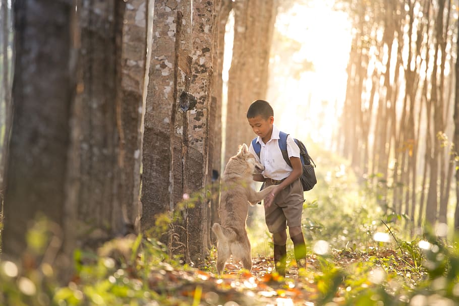Boy Holding Dog, backpack, blur, child, kid, person, plants, student HD wallpaper