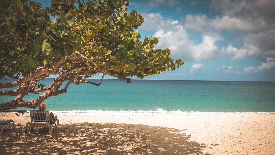 grenada, saint george's, sand, trees, water, beach, sunbathing, HD wallpaper