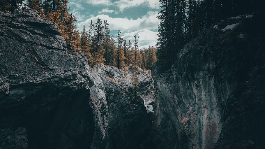 mountain covered with trees, beauty in nature, tranquility, forest HD wallpaper