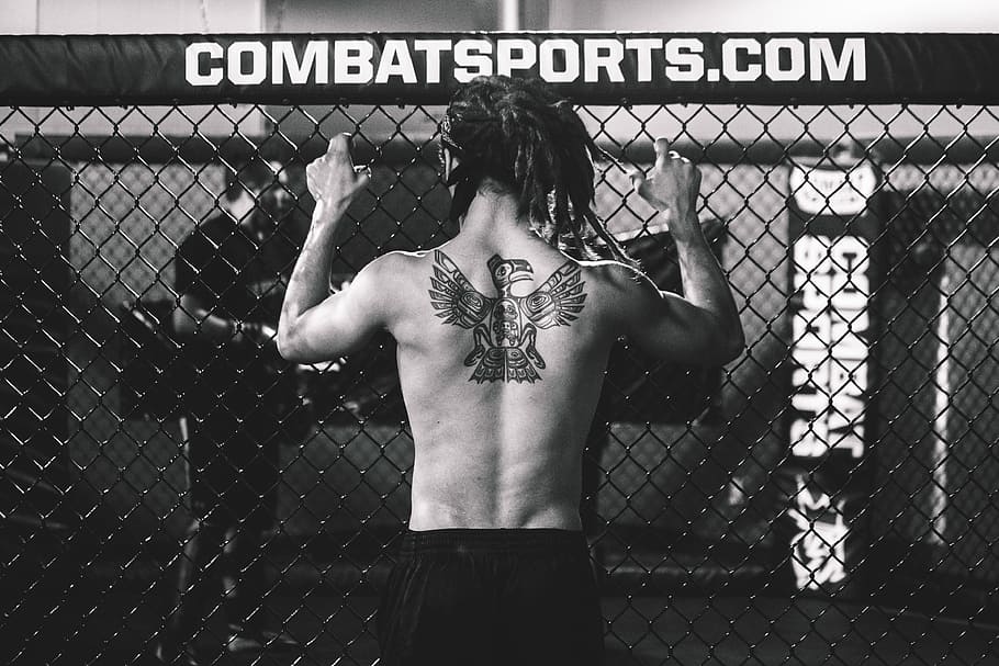 HD wallpaper: MMA Fighter, people, fighting, martial Arts, tattoo, tattoos  | Wallpaper Flare