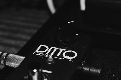 ditto, looper, base, bass, pedal, tc electronic, text, western script HD wallpaper