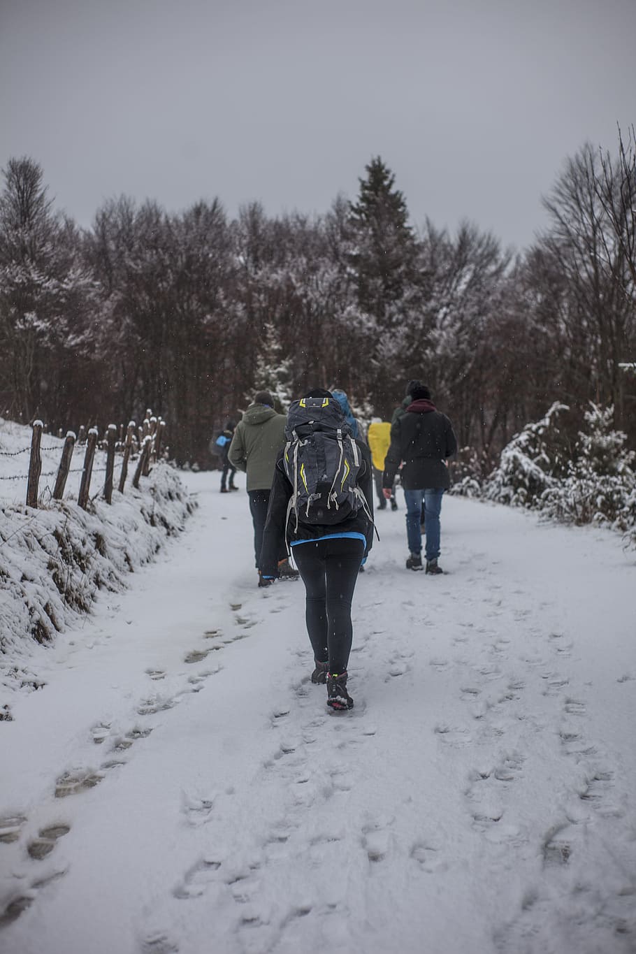 People Walking on Snowy Road during Winter, adventure, backpack HD wallpaper