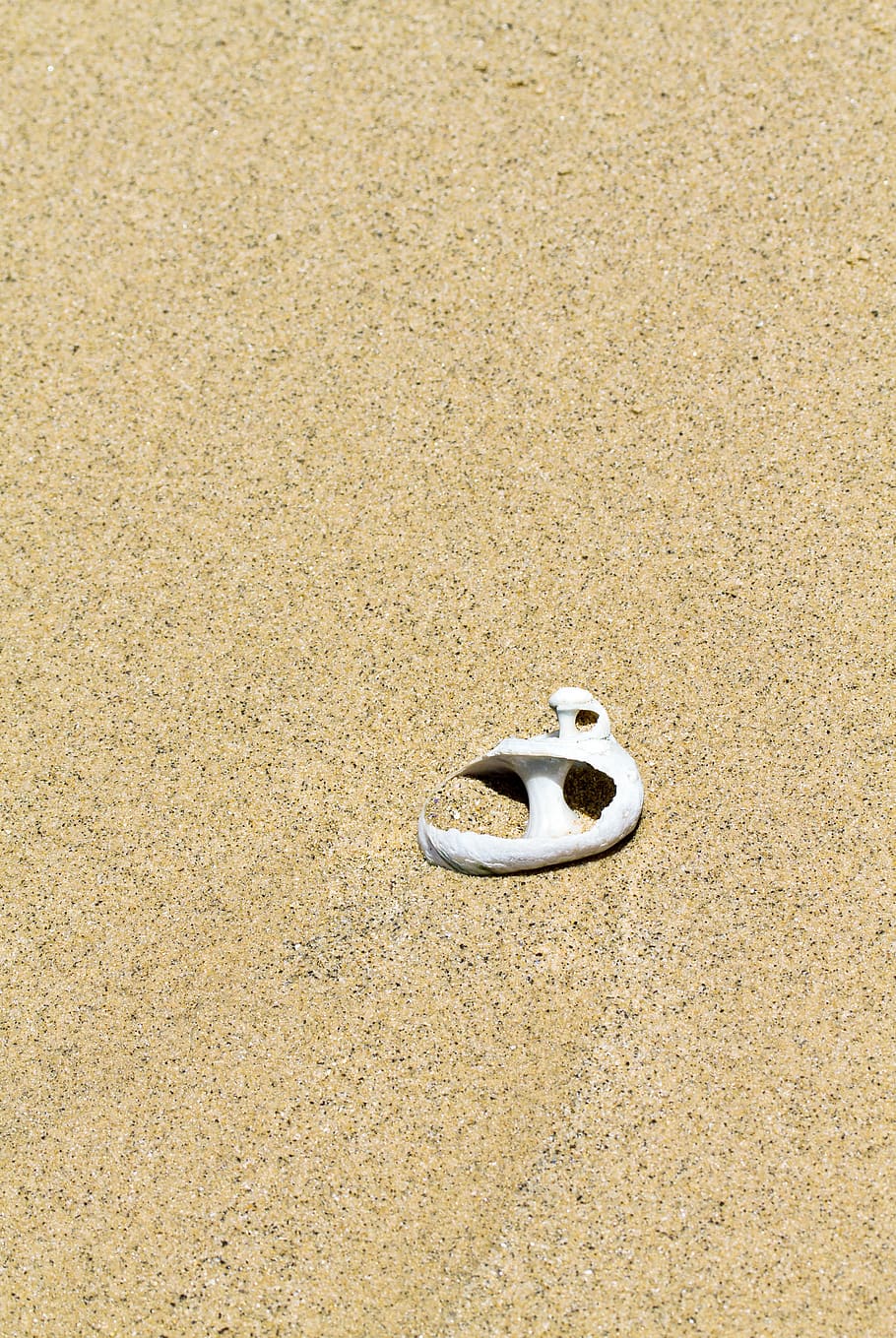 white seashell on sand, land, no people, beach, nature, day, close-up HD wallpaper