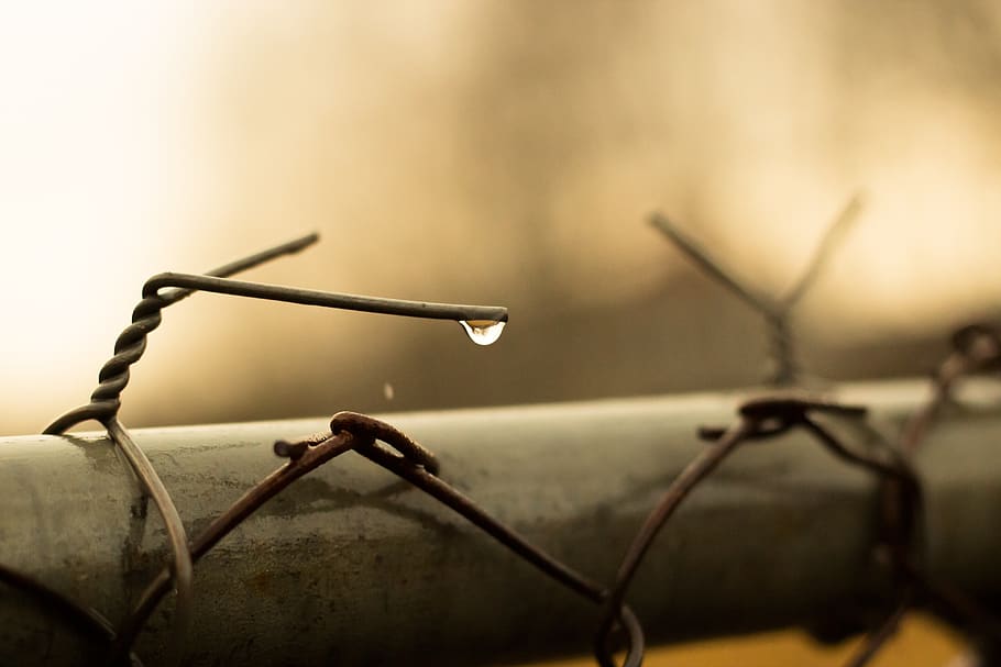drop, fence, drops, wet, rain, nature, wire, water, summer, HD wallpaper