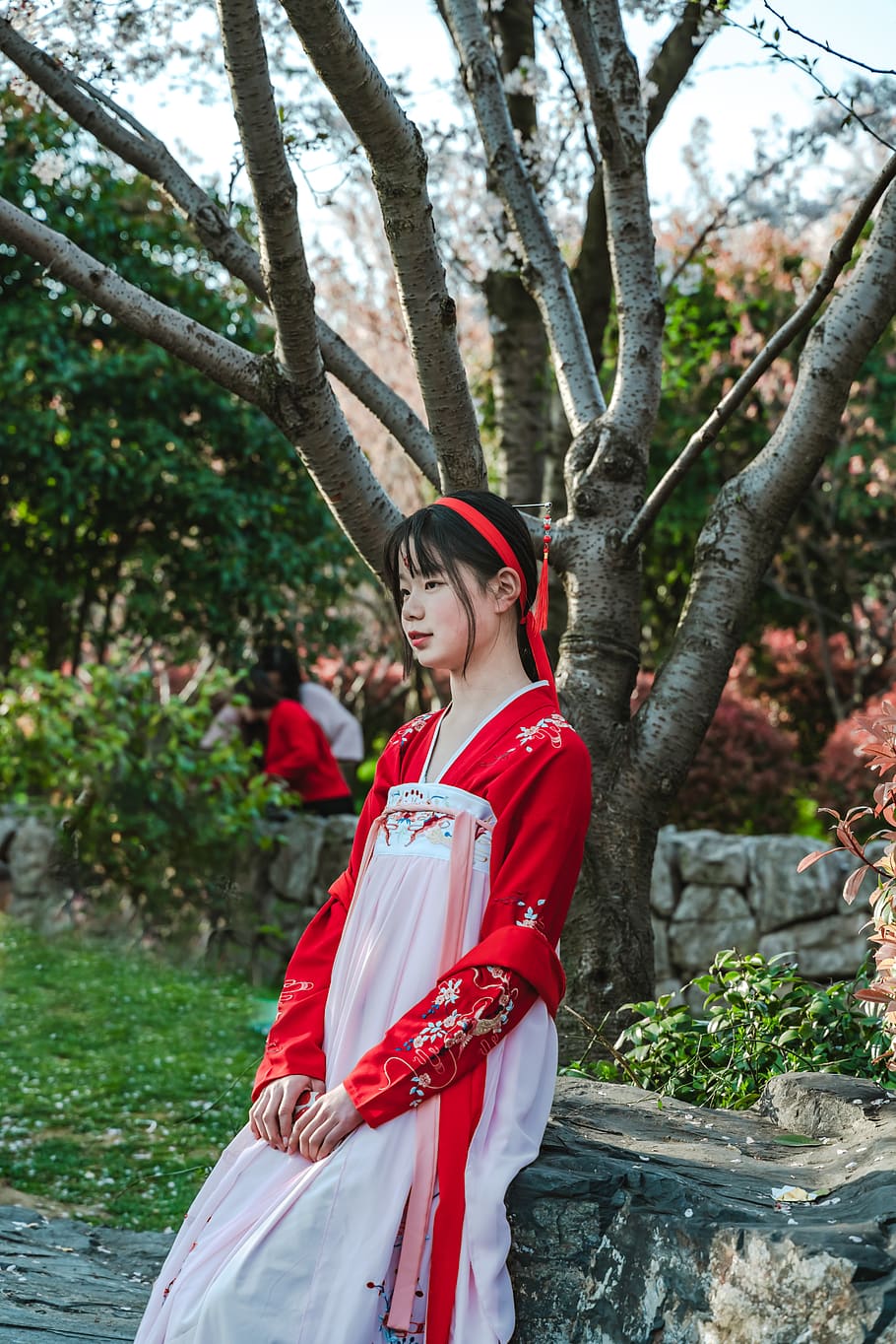 Geisha sitting under tree, apparel, clothing, robe, fashion, person HD wallpaper