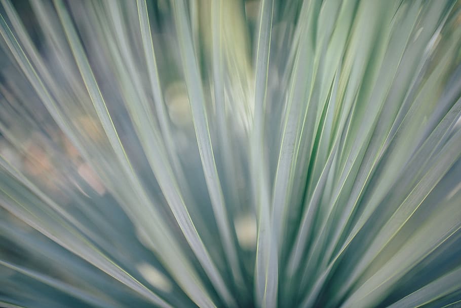 A heavily blurred image., united states, charleston, abstract HD wallpaper
