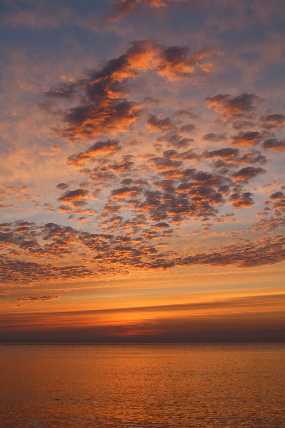 ocean water during orange sunset, nature, outdoors, sky, dusk HD wallpaper